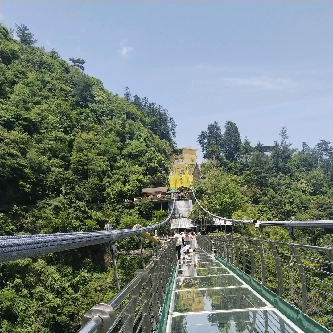 地瓜爱追剧