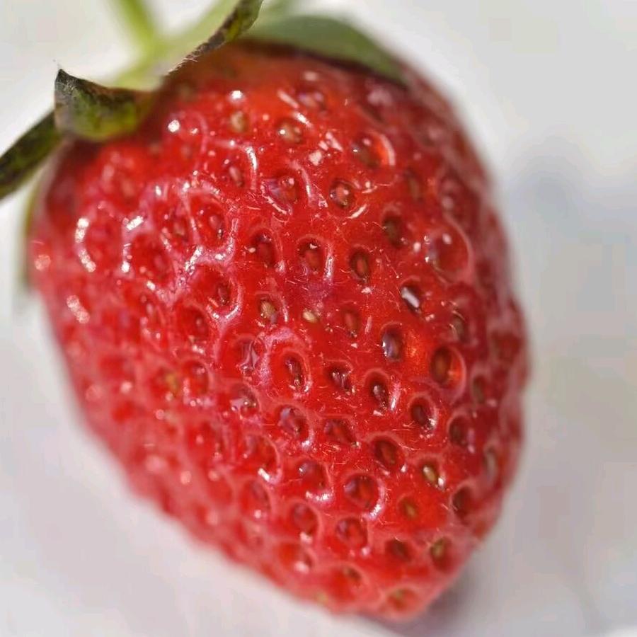 fgccygvv
