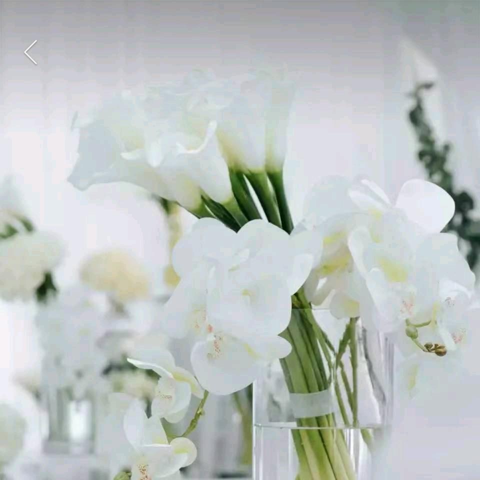 时装设计