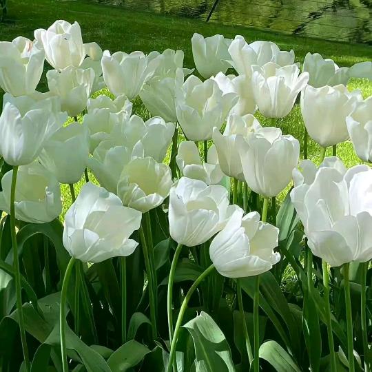 এ᭄༊余生安好ღꦿ࿐