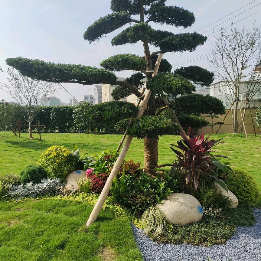 一💐帆🌷风🌹顺🌾