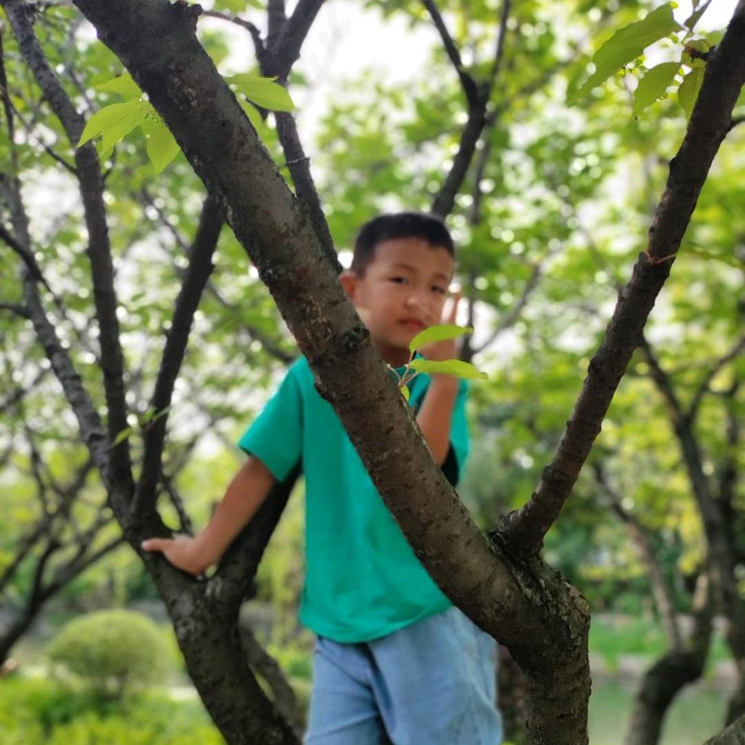 平淡才是真