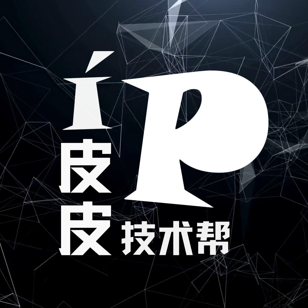 皮皮技术帮