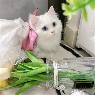 咪咪手作（谷店）