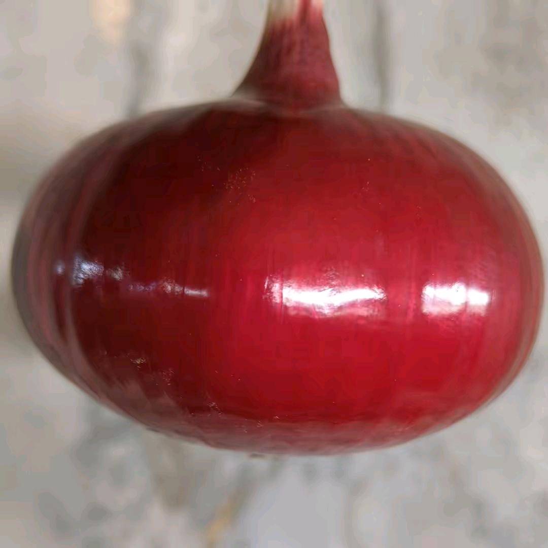 通许毛庄保鲜库