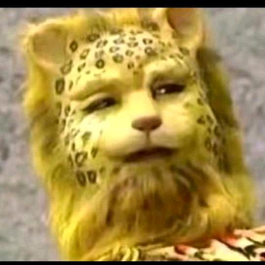 毛毛爱九珠王哥宠香儿