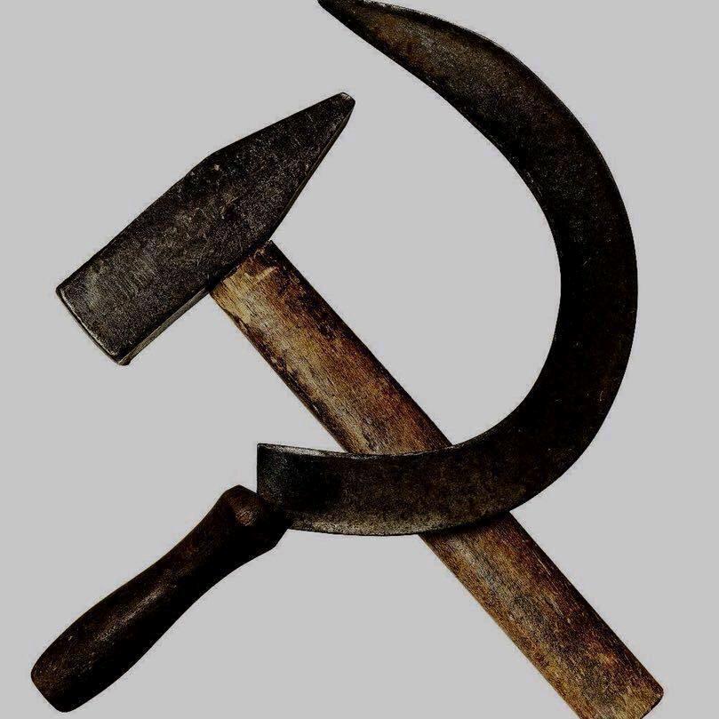 疯狂的人类