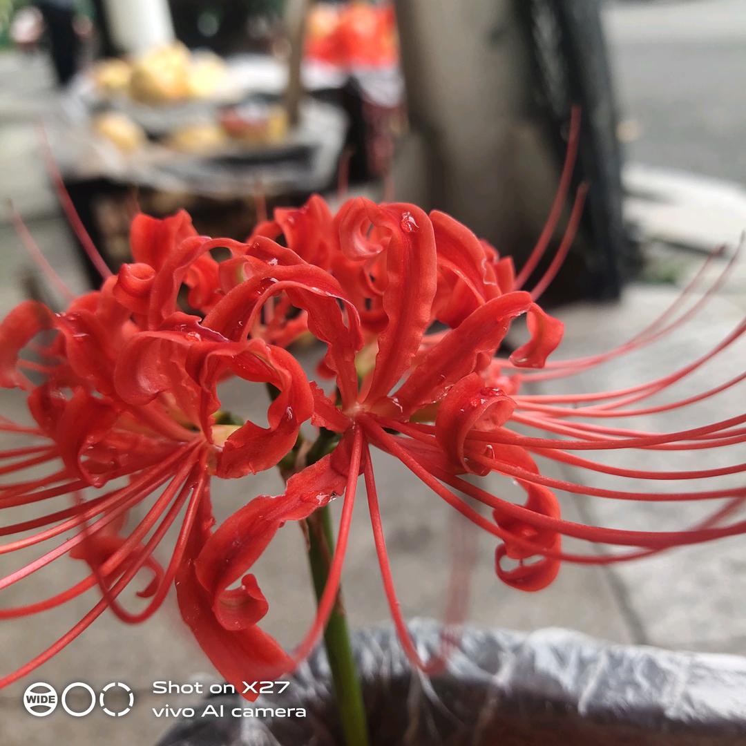 改变人生让一步