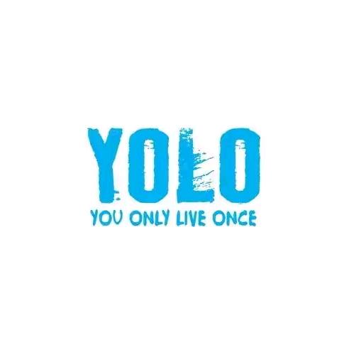 YOLO-燃品