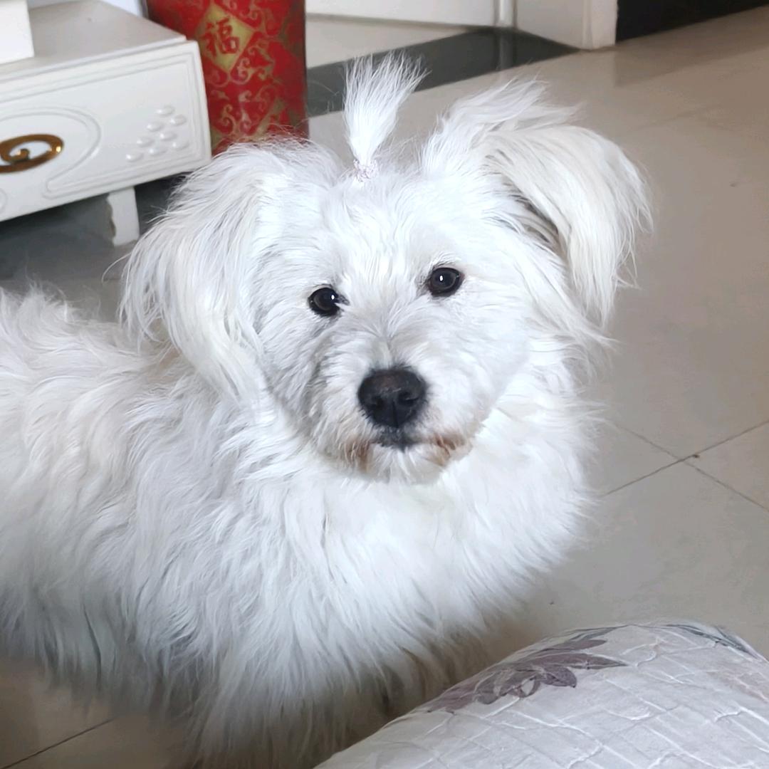 初吻献给了香烟🚬