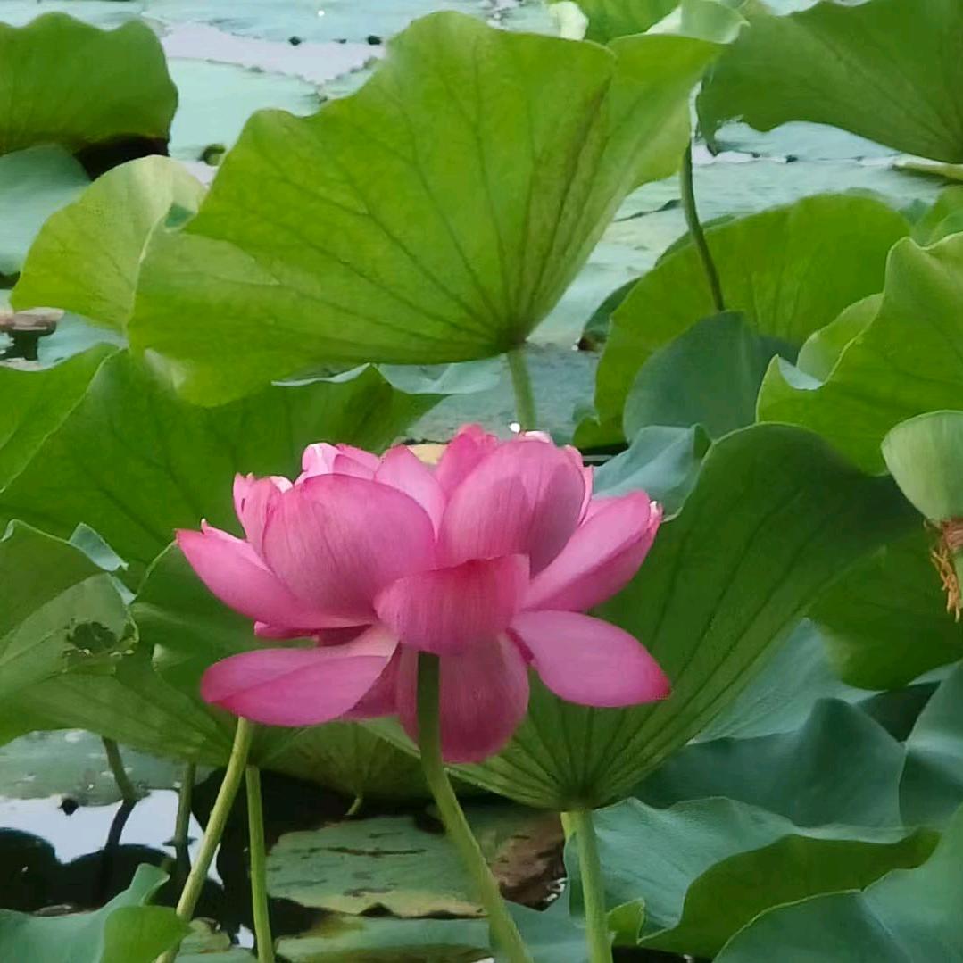 开开心心每一天