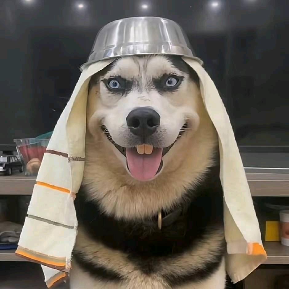 碳烤小肥杨金个真高兴