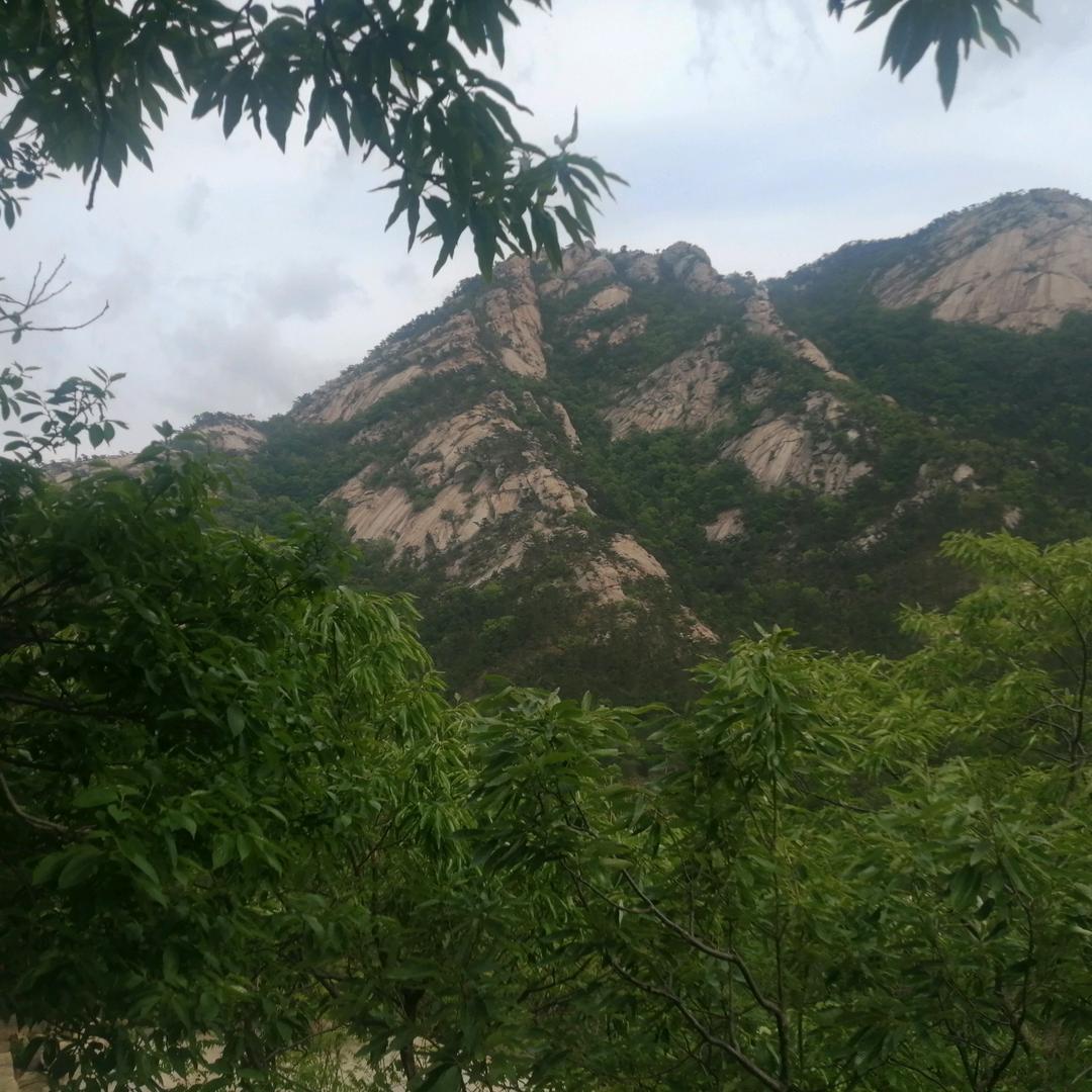 王康