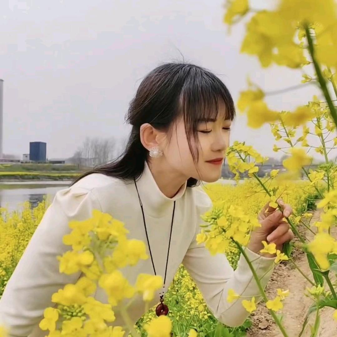 追梦人zmr