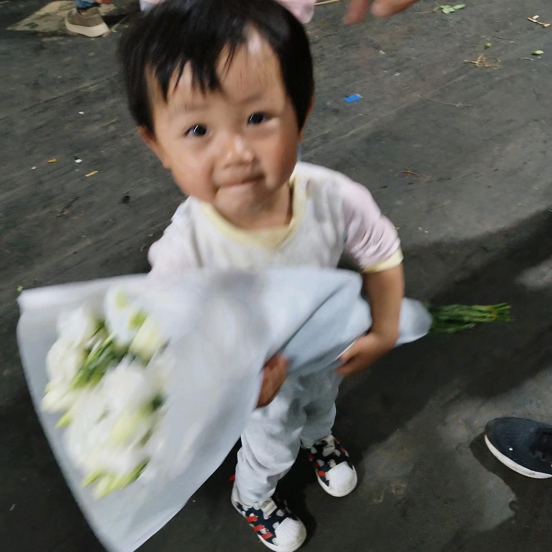 种菜姐