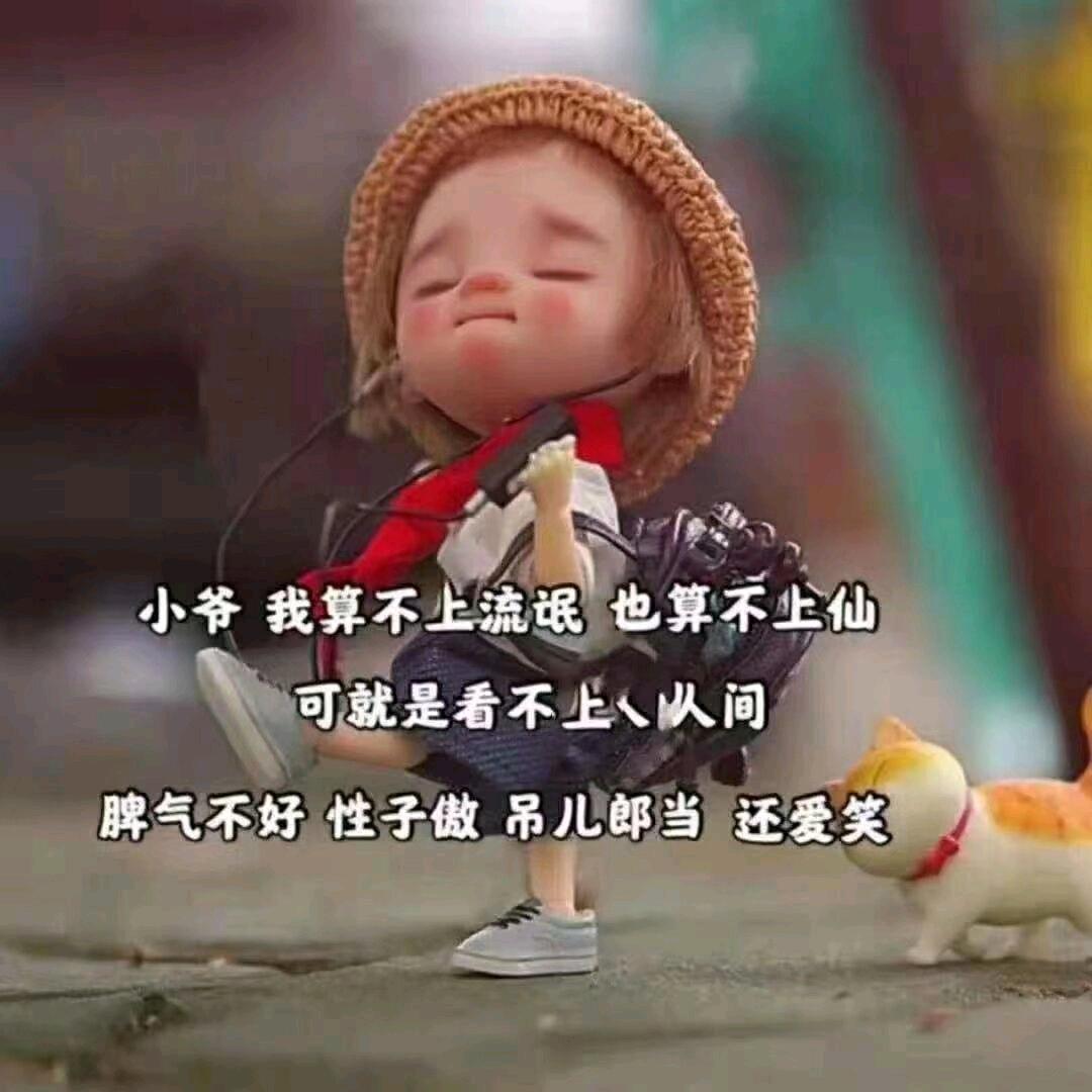 拧拧巴叉的暴躁犟丹