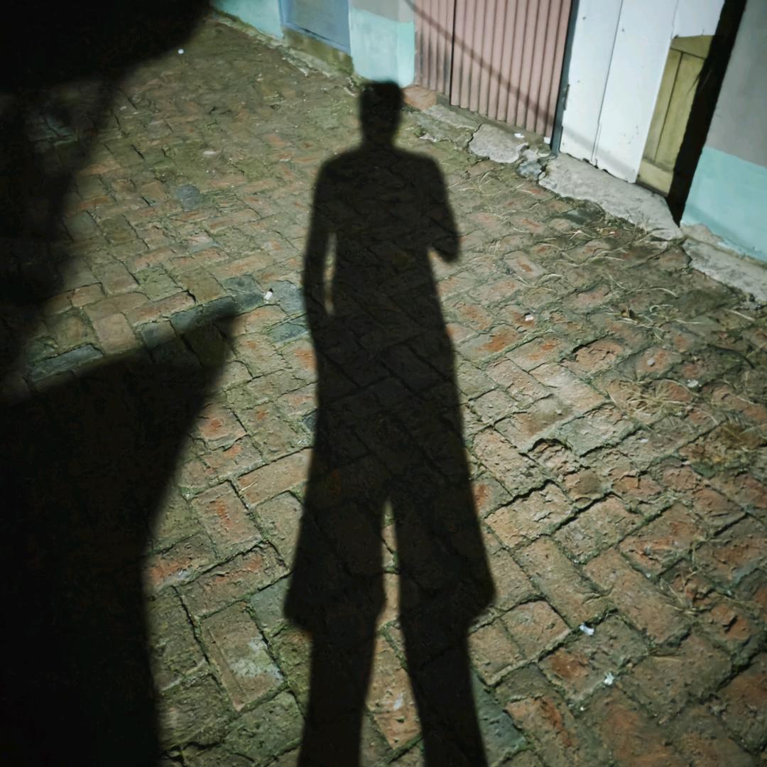 一条废物大喜