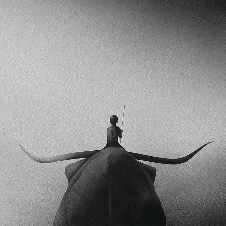 不锂不弃