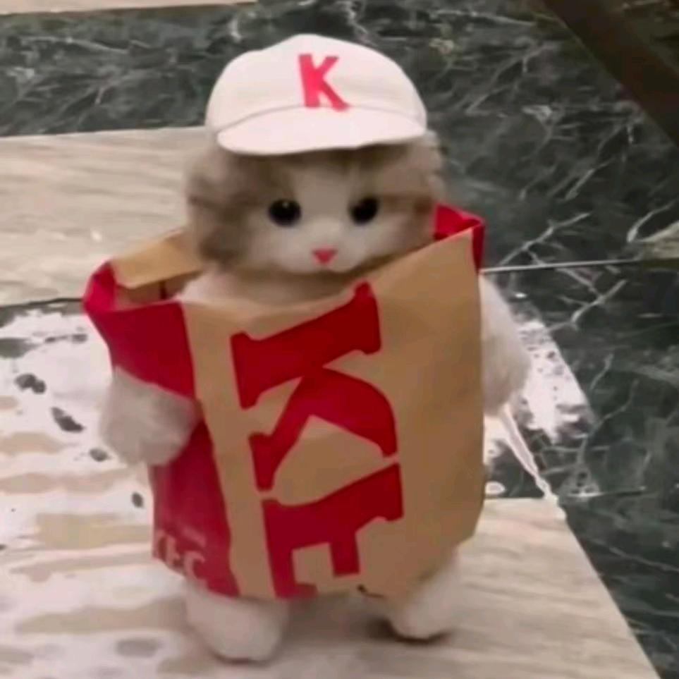 猫meme联盟