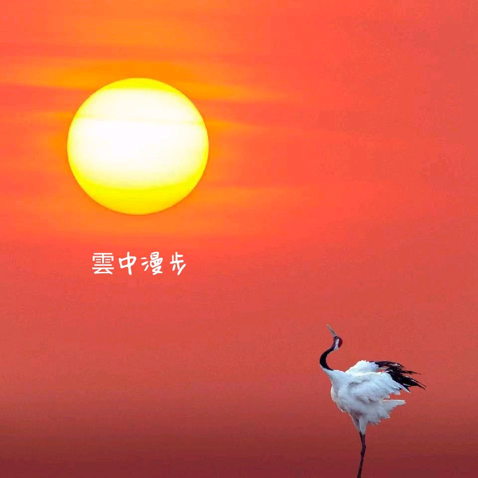 雲中漫步