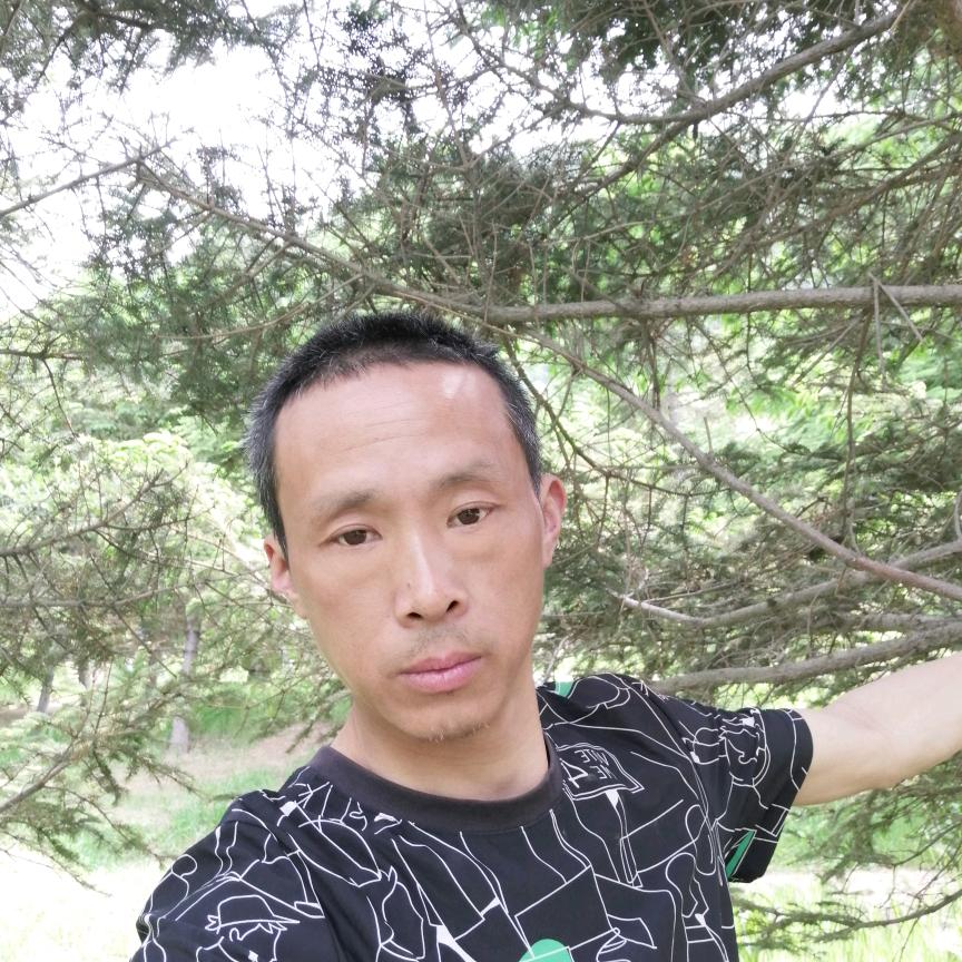 四季平安