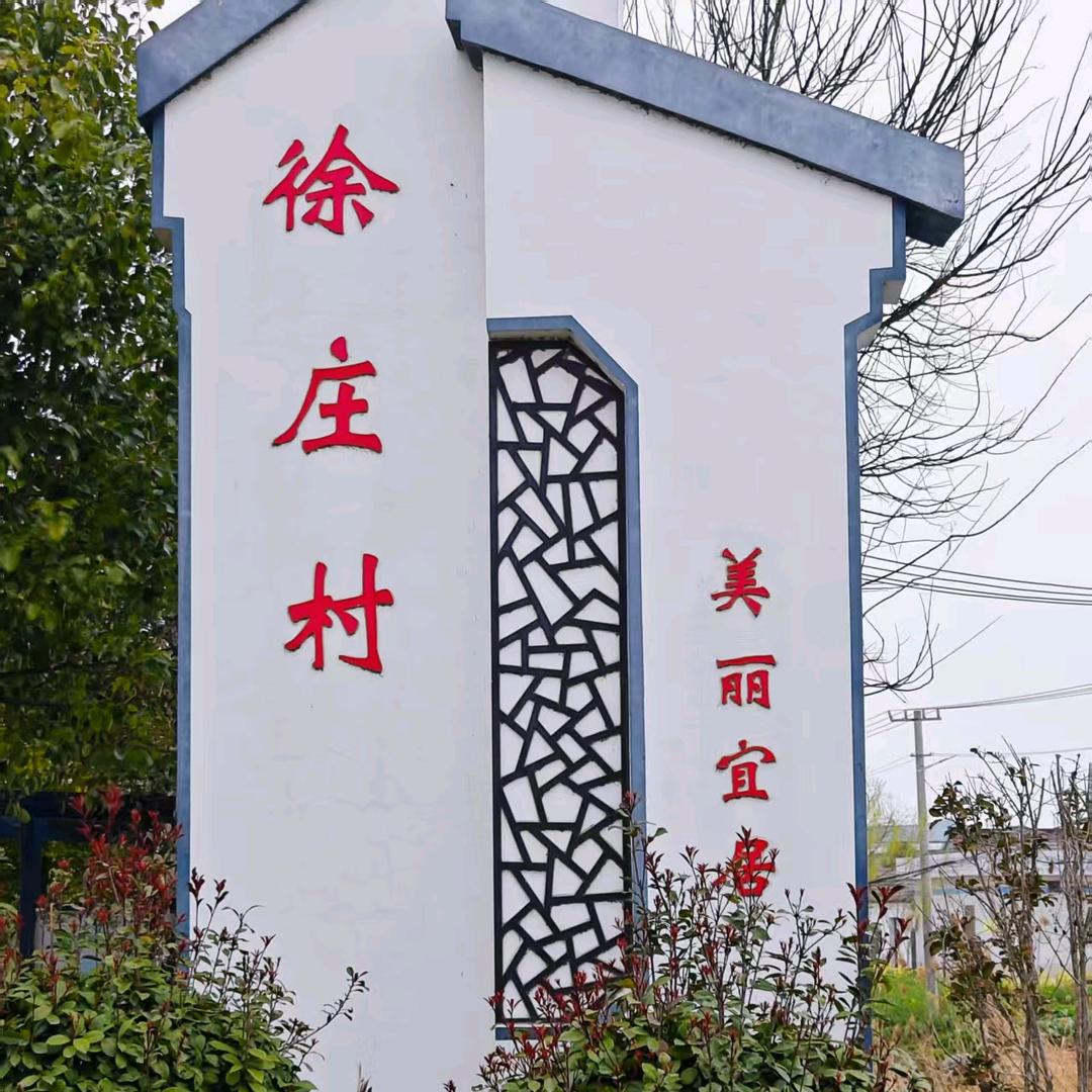 宝应县山阳镇徐庄村（村干部助农）