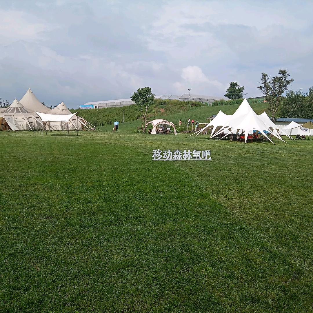 喜笑怒骂皆人生