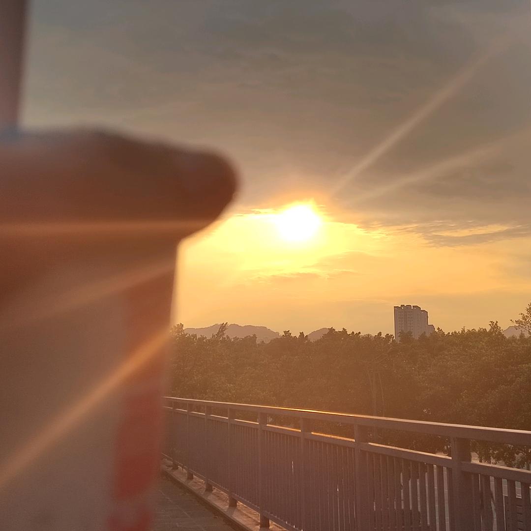 落花有意🍁