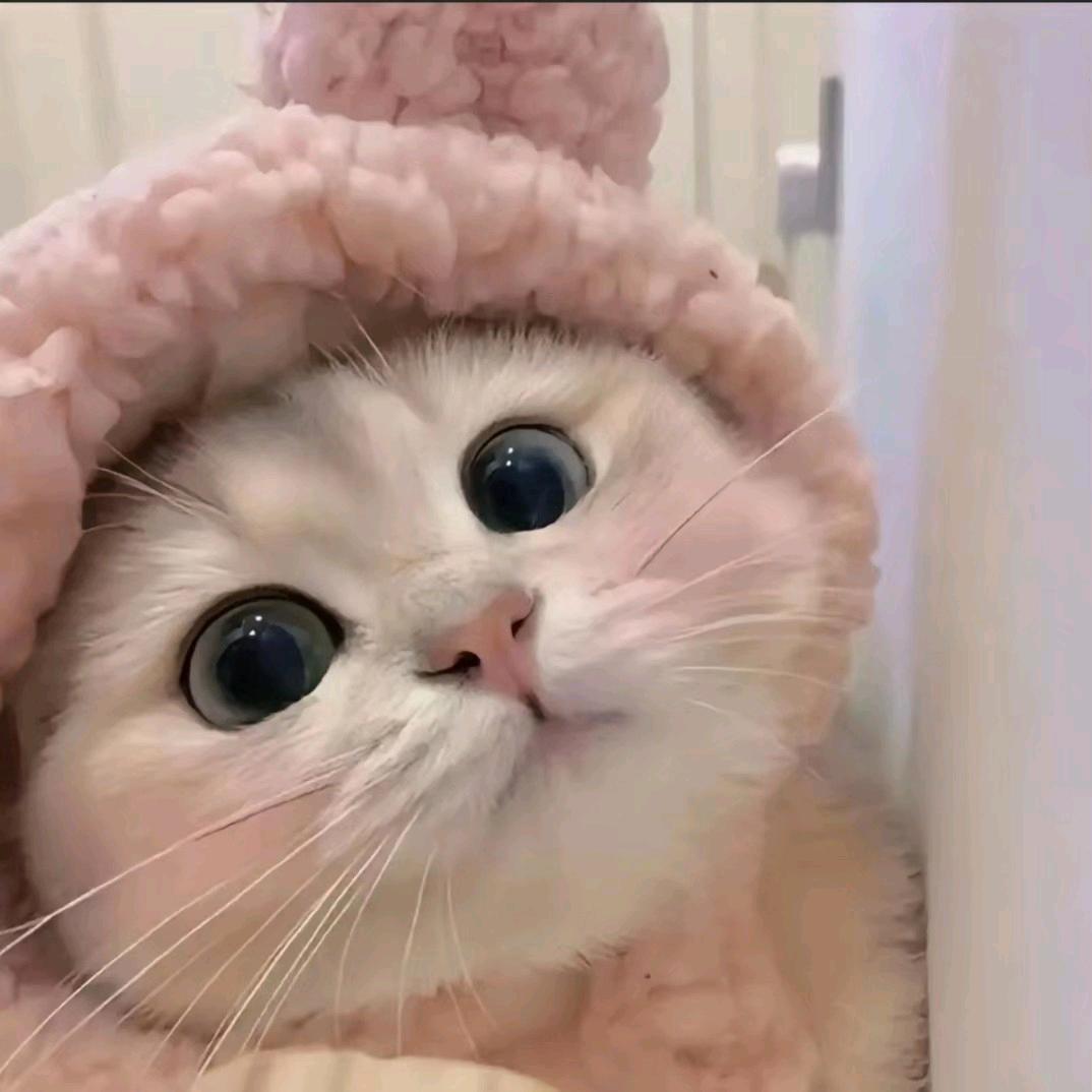 小欣百事可乐