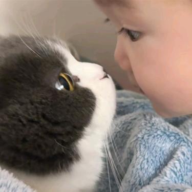 苏苏只想睡大觉