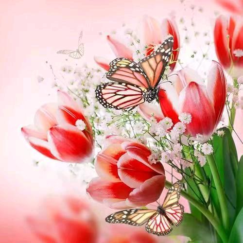 本草三道汤(岳阳店)