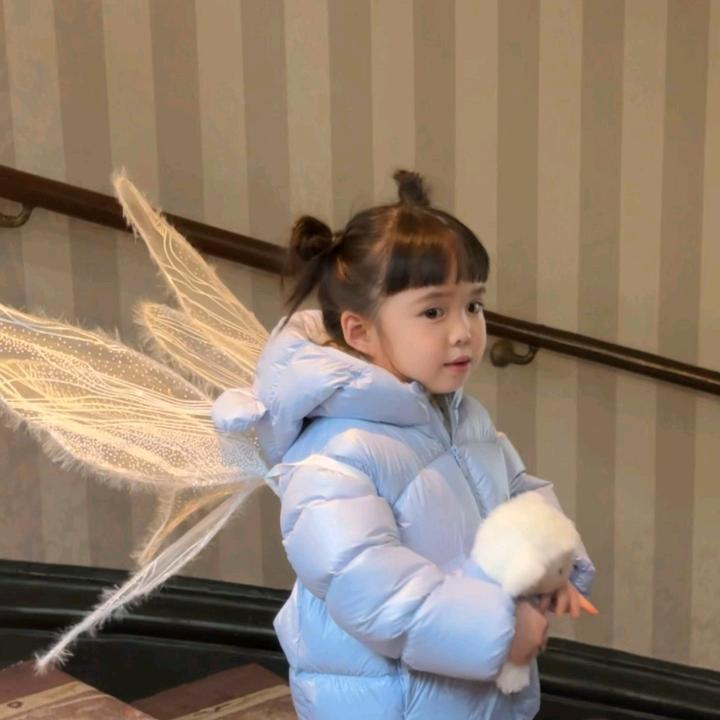 赠晚枝