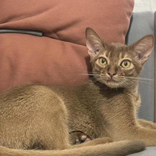 一起走过的日子