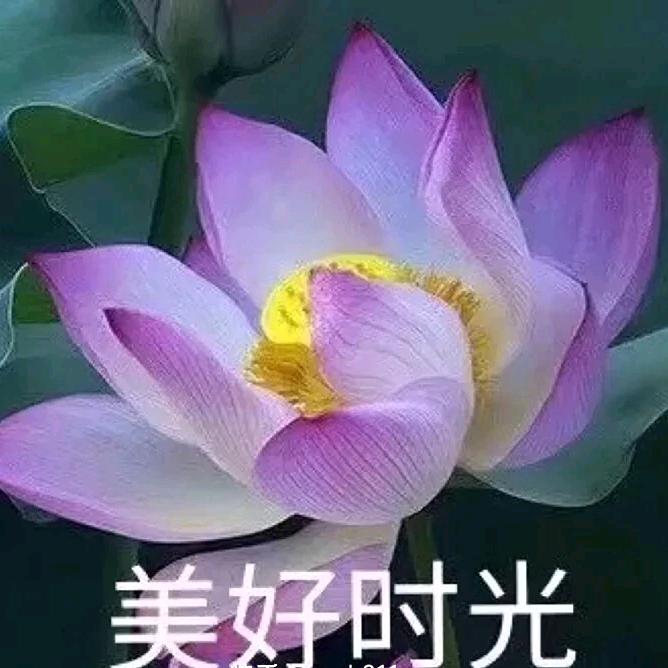 顺其自然一