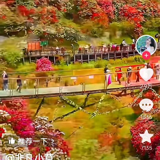 憧憬未来😘