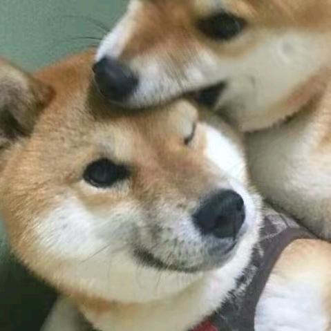 云顶之弈打工人