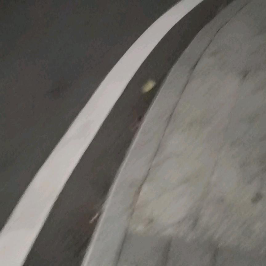 皮皮虾跟我走