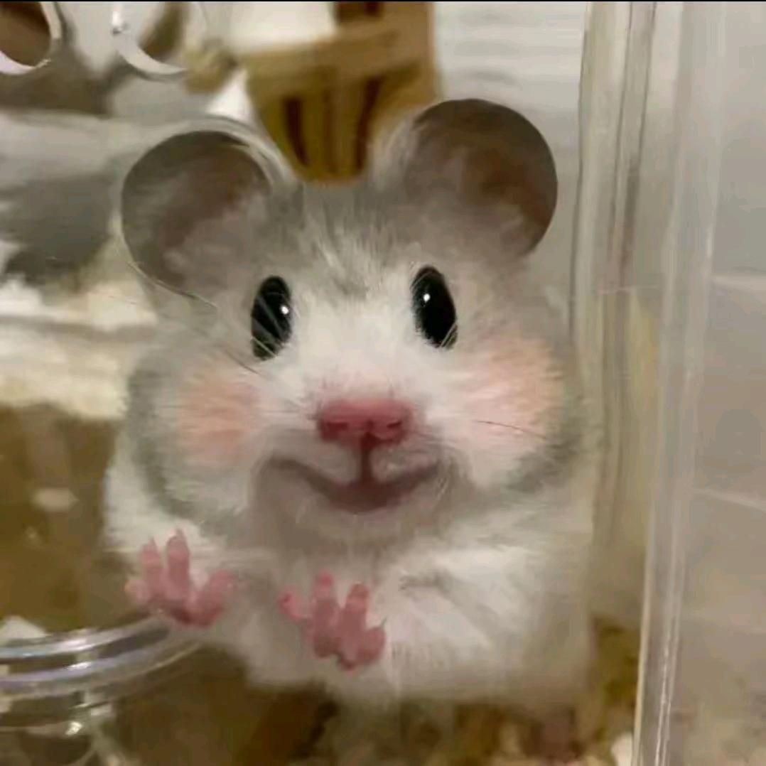 嗯，还是这个名字