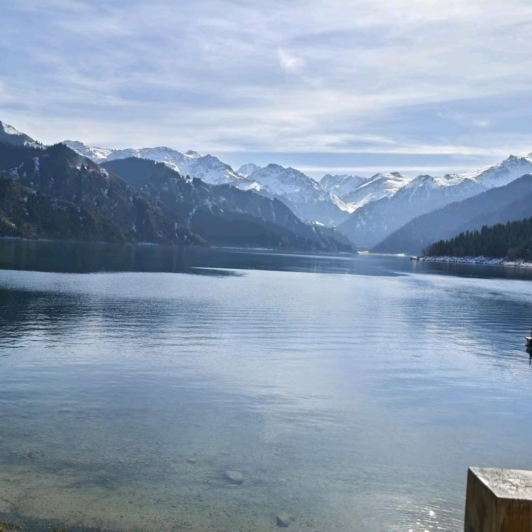 自由的活着就好