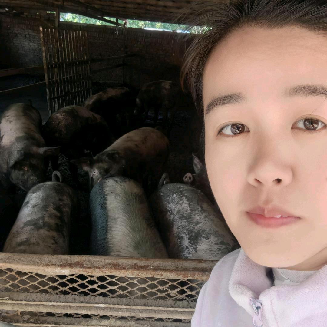 创业养殖婷婷