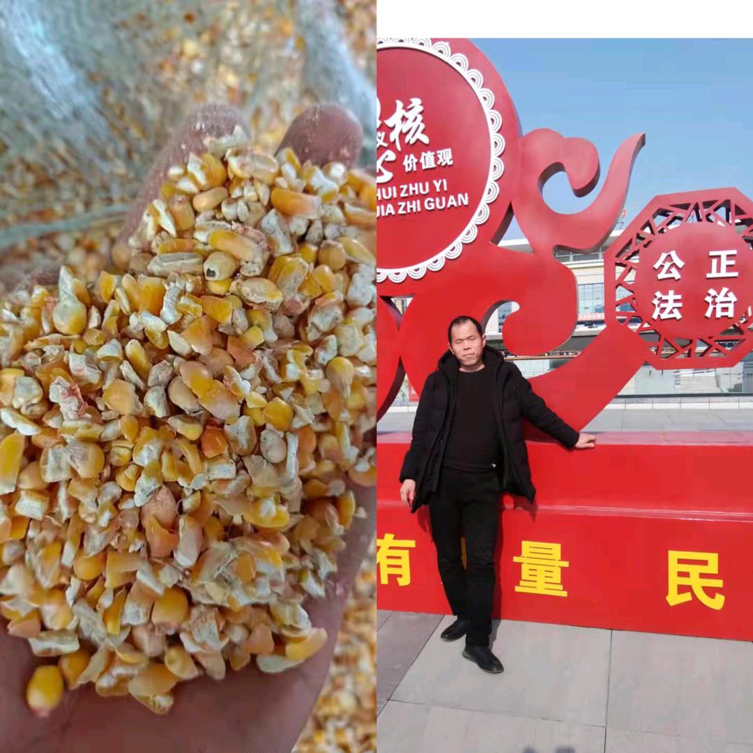 新起点，玉米渣