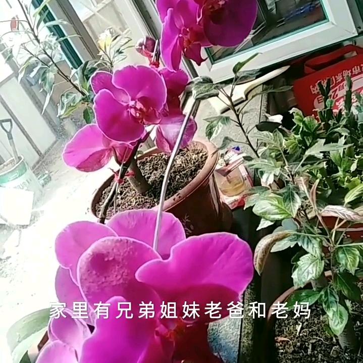 我来溜达