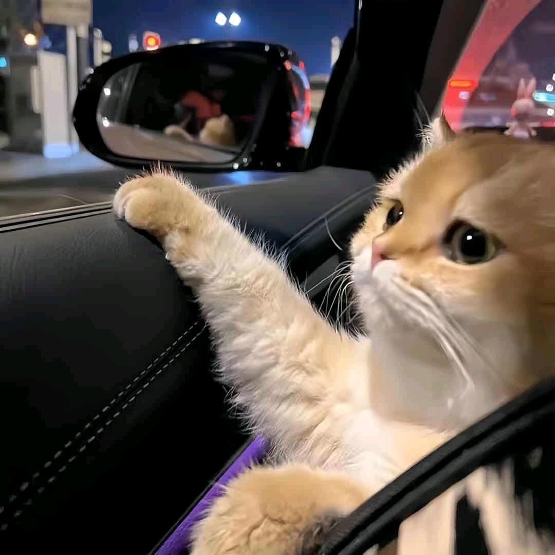 晚安