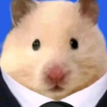 鼠鼠highc版