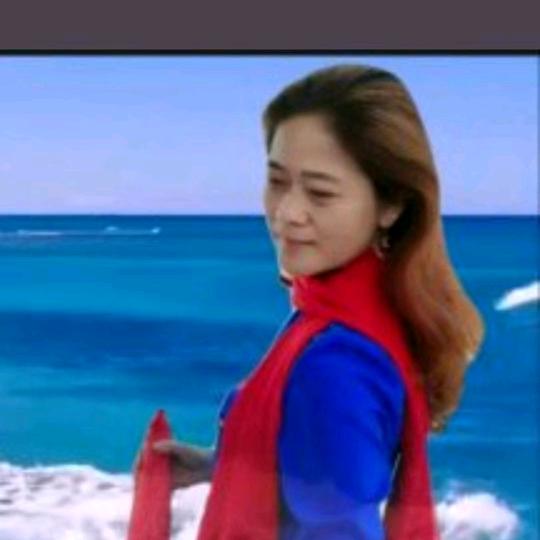 迪宝家家