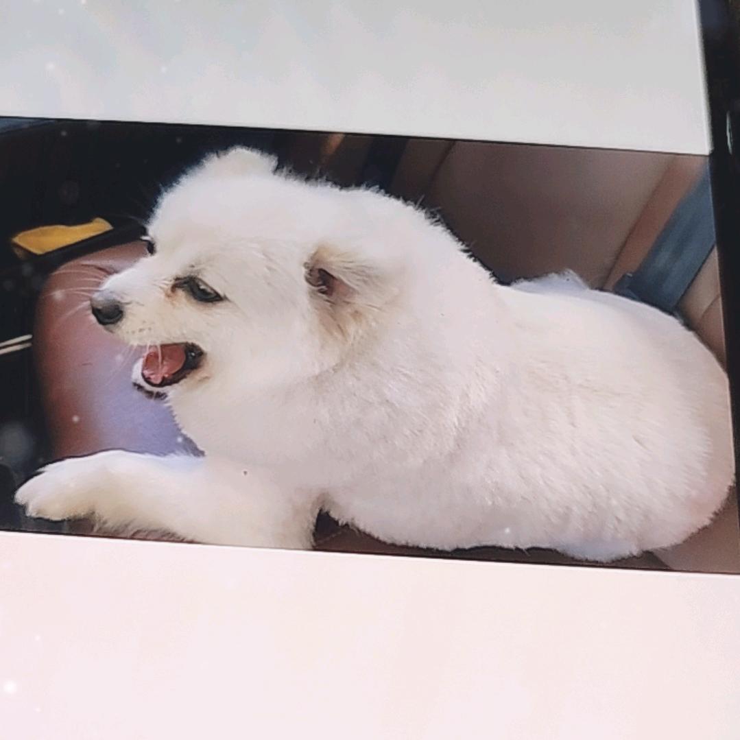 嘎嘎好