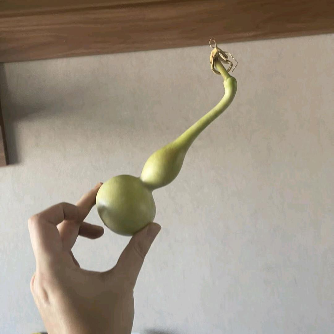 金缘宝长嘴观音瓶文玩葫芦