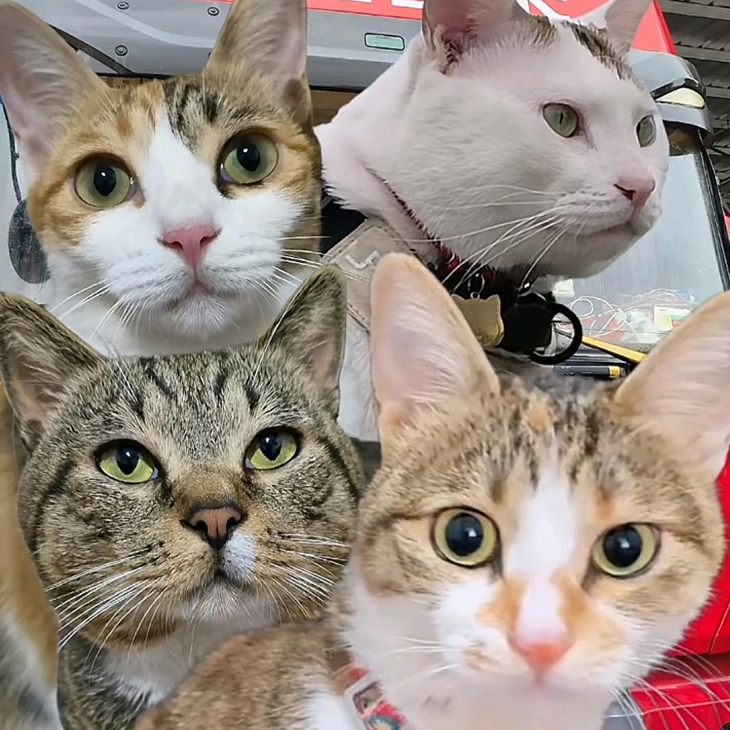 不知道起啥网名