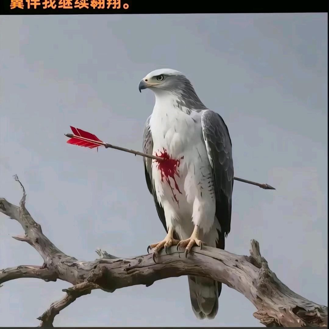( 榆社后生  小 岳 岳  )
