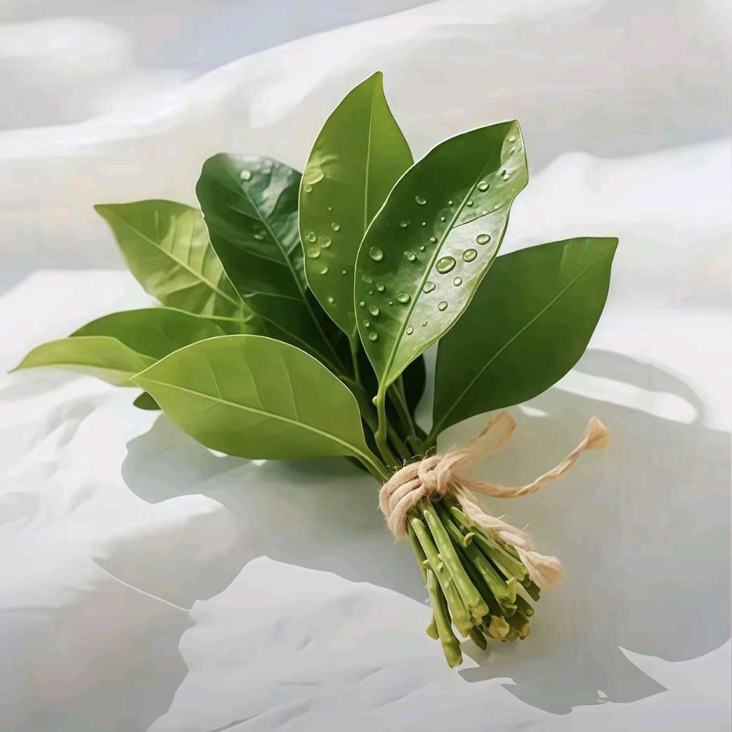 王锦鲤